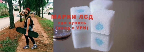 гашик Горняк