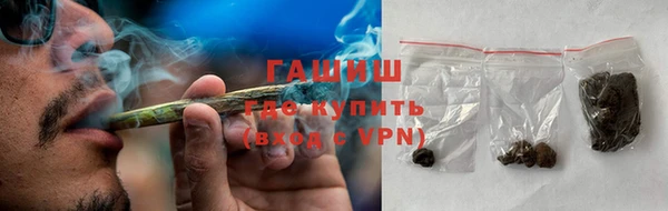 гашик Горняк