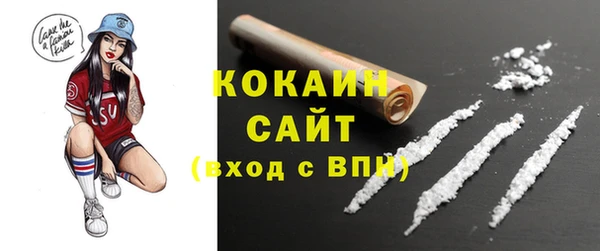 гашик Горняк