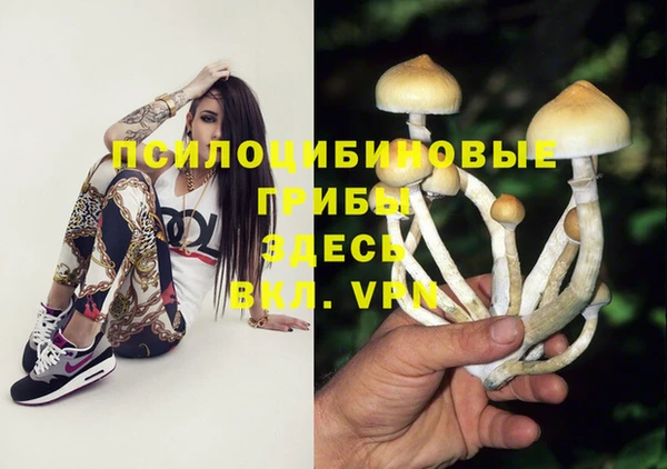 трава Вязьма