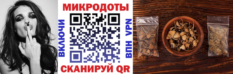 это телеграм  Чердынь  Псилоцибиновые грибы Cubensis 